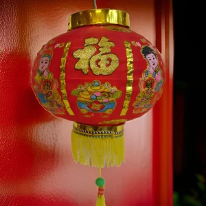 Charming Chinese Red Lantern for Prosperity (11)