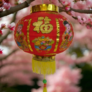 Charming Chinese Red Lantern for Prosperity (6)