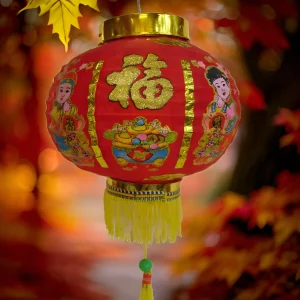 Charming Chinese Red Lantern for Prosperity (8)
