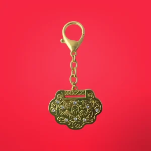 Charming Good Fortune Amulet of Luck (6)